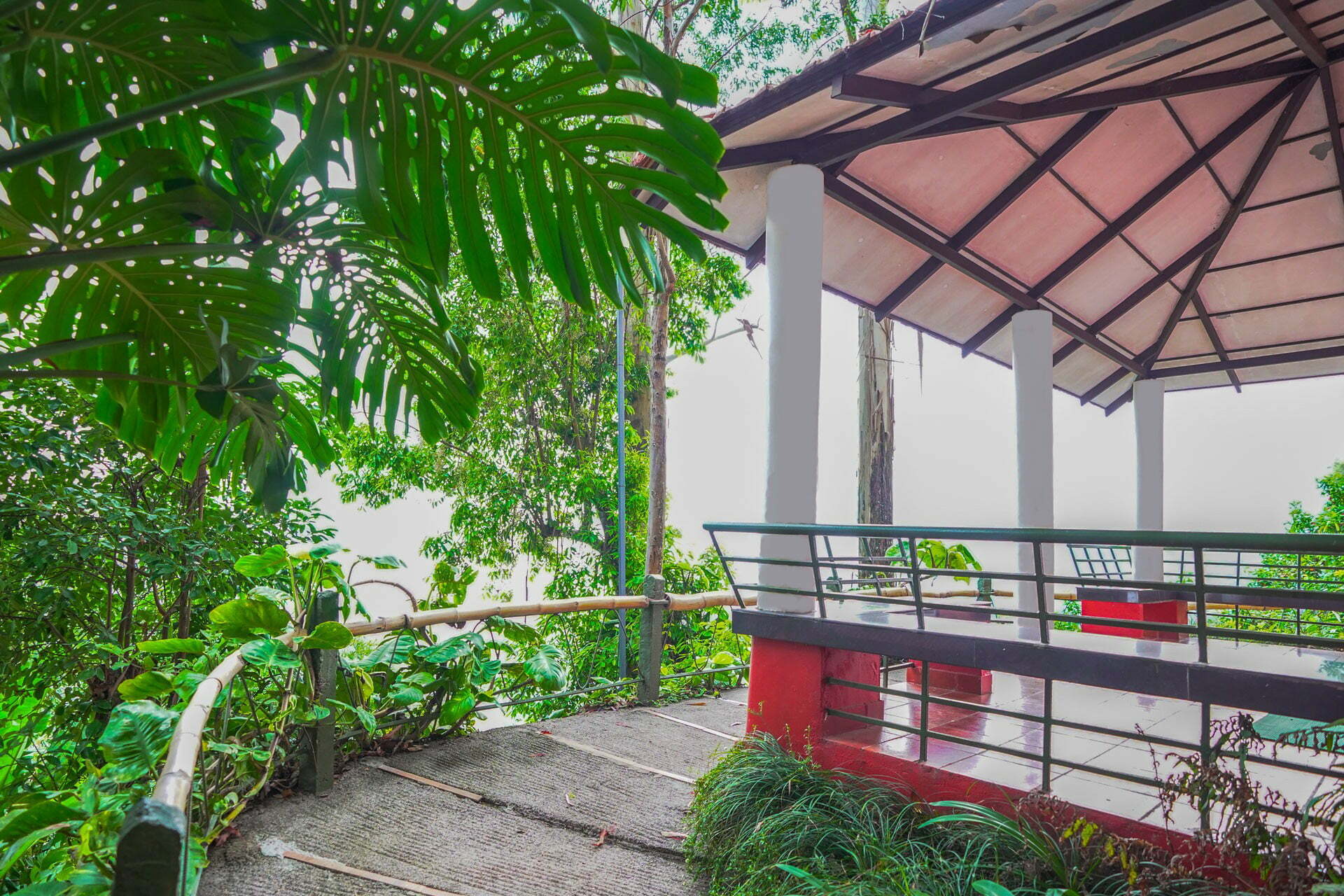 budget hotels in munnar for family
