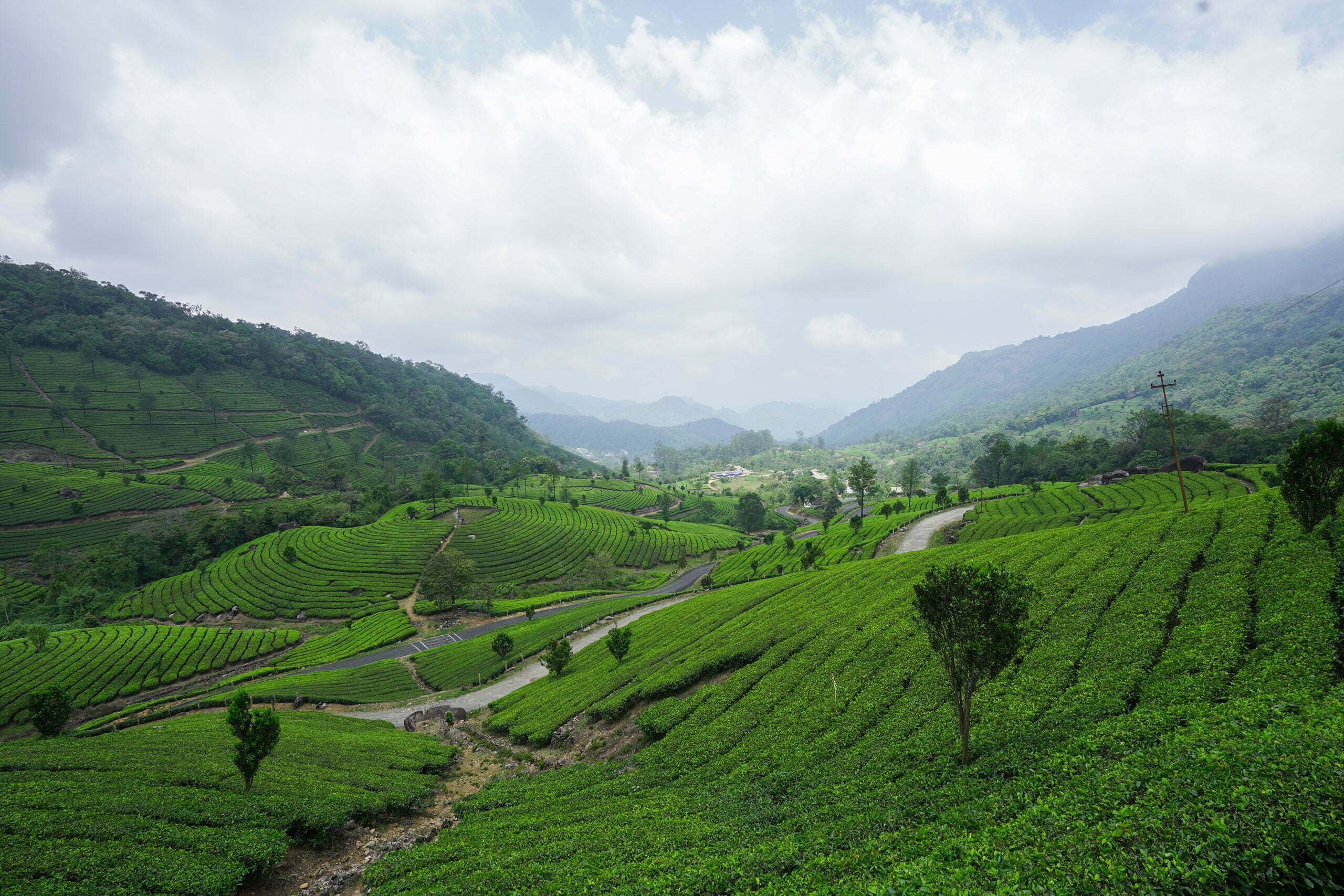 Best Hotels in Munnar, Complete Munnar Stay Guide