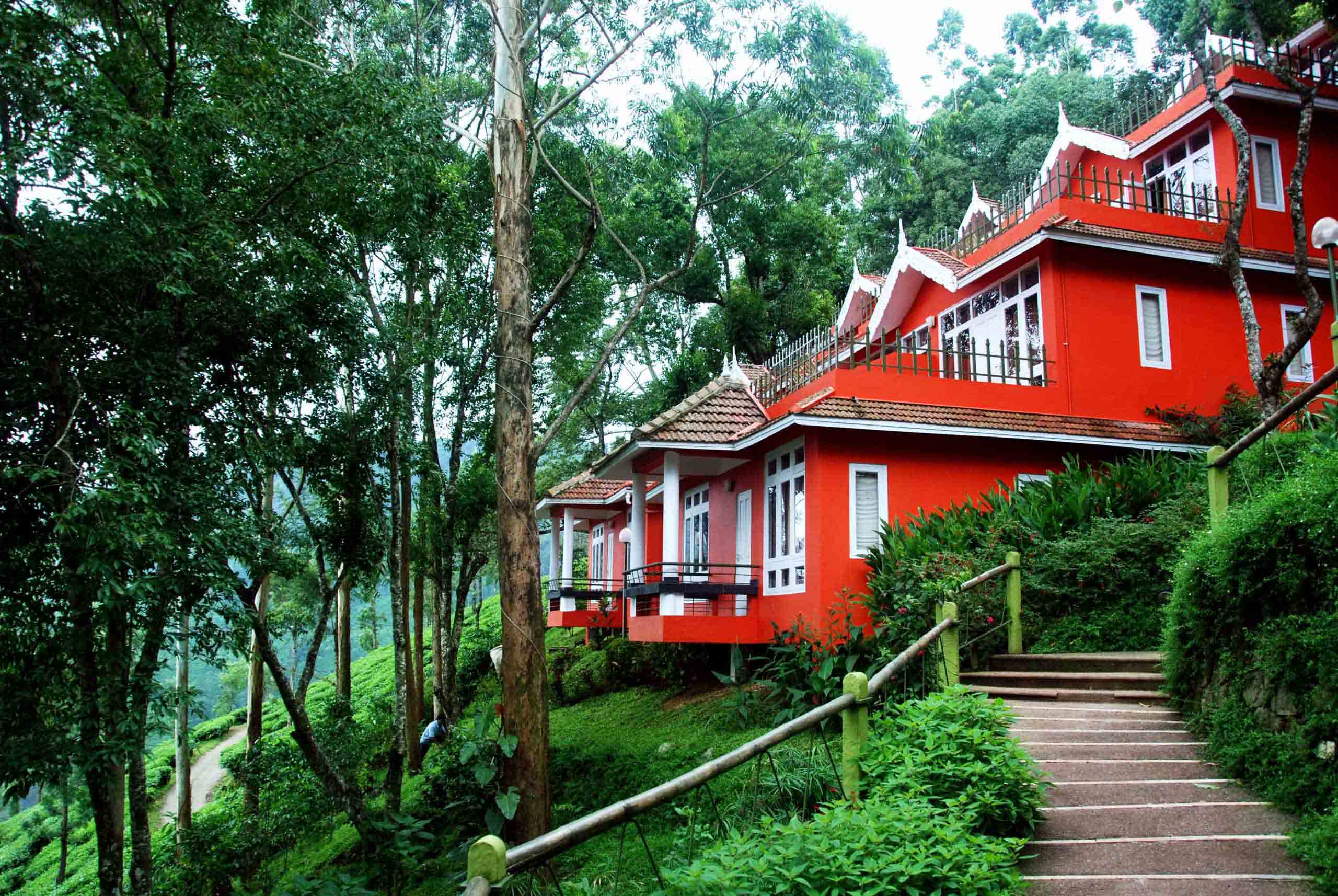 Best Hotels in Munnar for Honeymoon & Family