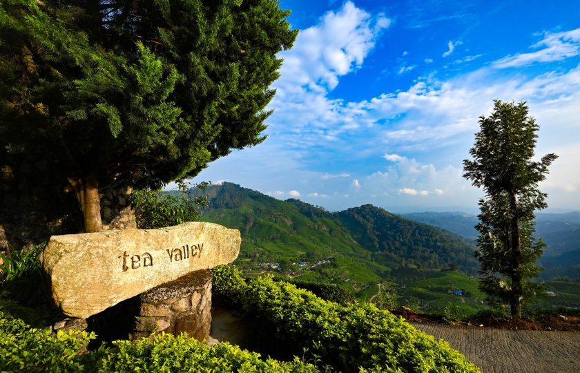 A Scenic Escape in the Hills – Best Resort in Pothamedu with Pool