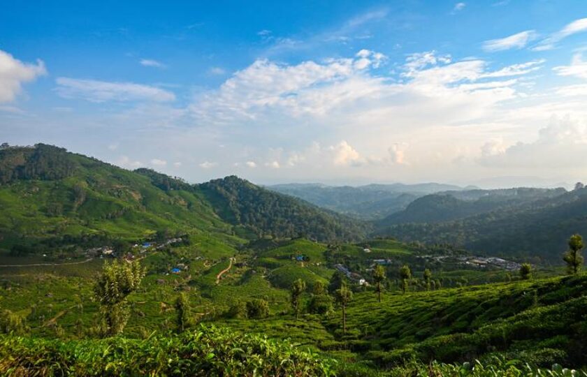 Best Hotels and Resorts Near Munnar Town: Where to Stay and What to Do